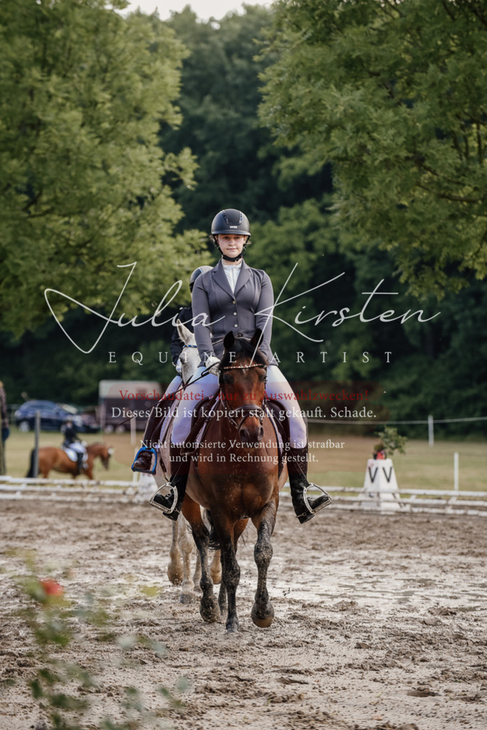 DSC_8314 | Pferde- und Turnierfotografie in Westsachsen. Pferdeportraits, Auftragszeichnungen und intuitive Kunst.