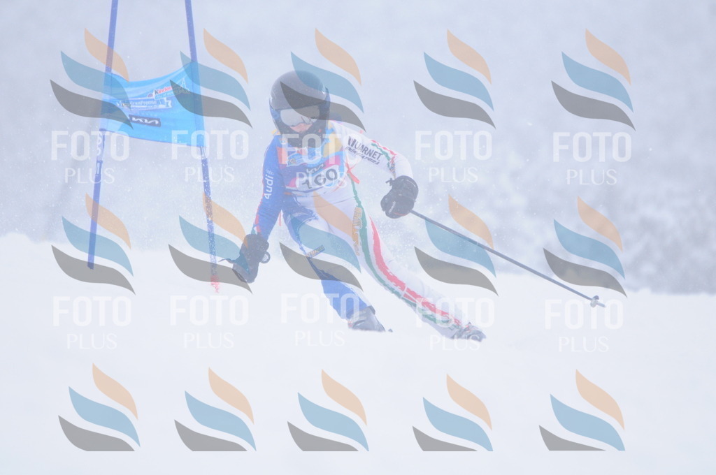 C1890 | holidayphoto