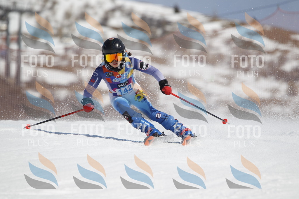 _U3G1063 | holidayphoto