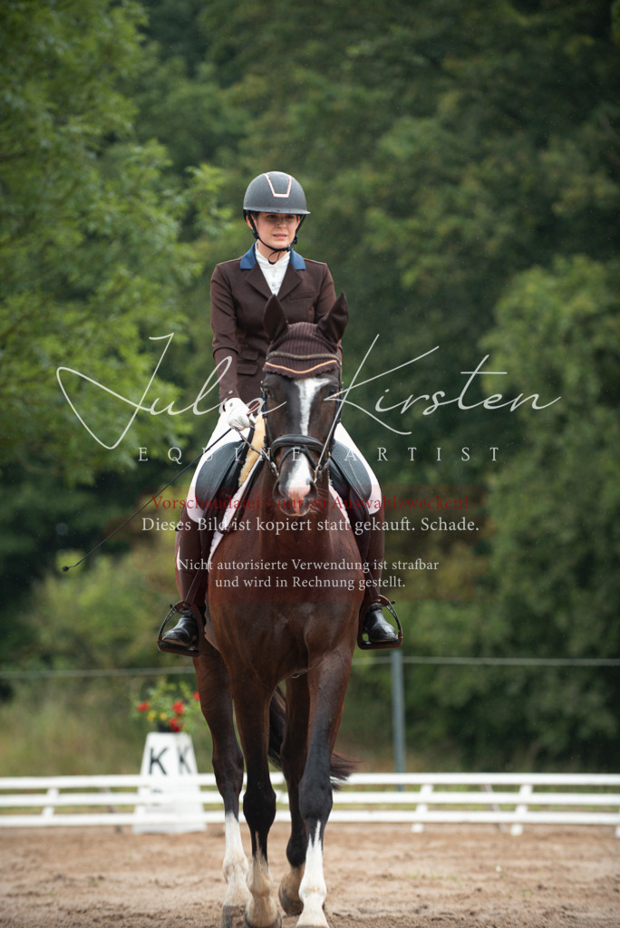 DSC_9755 | Pferde- und Turnierfotografie in Westsachsen. Pferdeportraits, Auftragszeichnungen und intuitive Kunst.