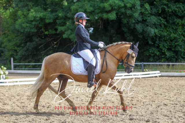 DKP45790 | Turniersportfotografie; Pferdefotografie; Dressurfotografie