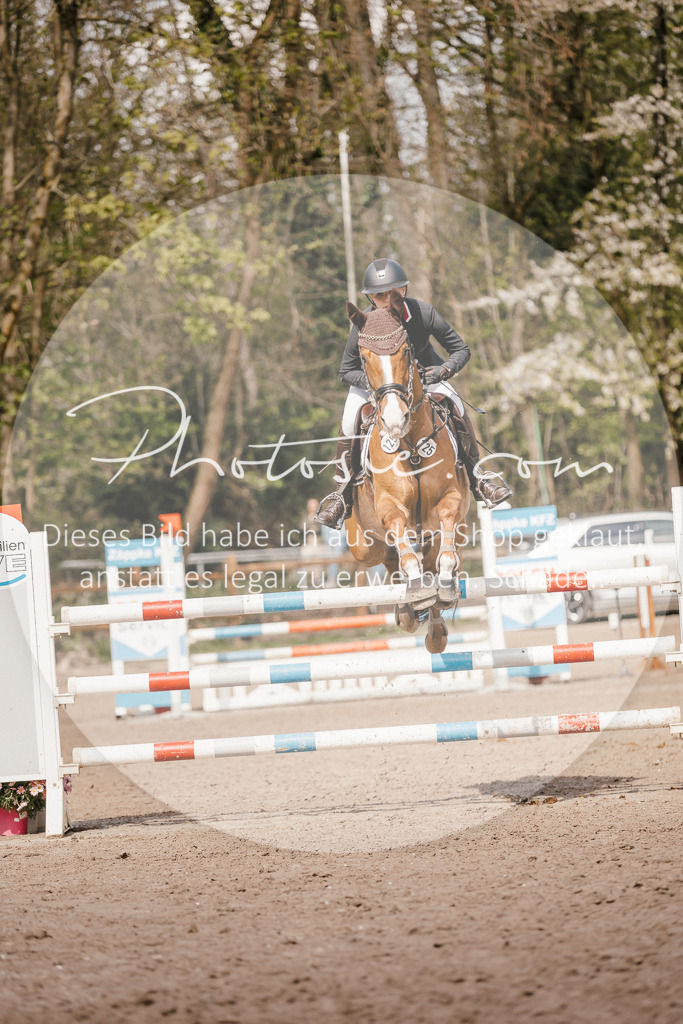 3I6A4342 | Stimmungsvolle Portraits und Reitsportfotografie im Ruhrgebiet und im Münsterland.

Pferdefotografie, Hundefotografie, Tierfotografie, Reportagen, Portraits von Tier und Mensch, Turnierfotografie in Bochum, Recklinghausen, Marl, Haltern am See, Dülmen.. - Realisiert mit Pictrs.com