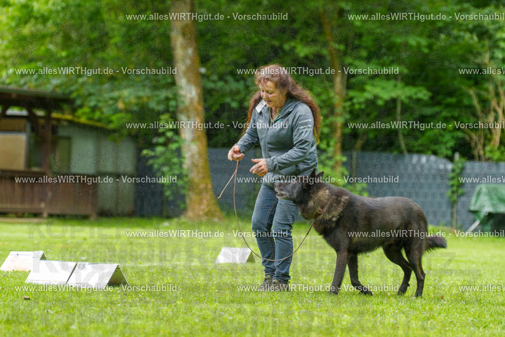 @allesWIRTHgut_Tierfotografie - www.allesWIRTHgut.de - 135635-7R500214 | Professionelle Tierfotografie in Mönchengladbach von Daniel Wirth (allesWIRTHgut). Liebevolle & natürliche Bilder von Hunden & Katzen für unvergessliche Erinnerungen.