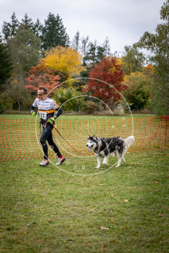 Pfotenfotografie_DV3A1942 | Hundefotografie, Tierfotograf, Pfotenfotografie, Fotoshooting Hund, Hunde Portrait, Hundesport, Hundeportraits, Heideshooting, Hunde, Sportfotograf, Hundefotograf, Turnierhundsport, THS,  - Realisiert mit Pictrs.com