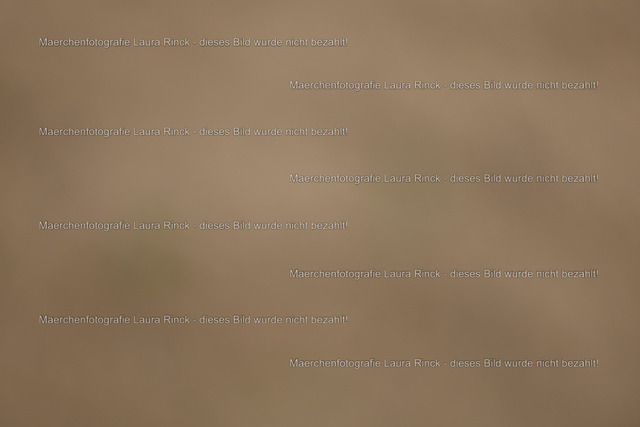 HG9A0795 | laurarinckfotografie - Realisiert mit Pictrs.com