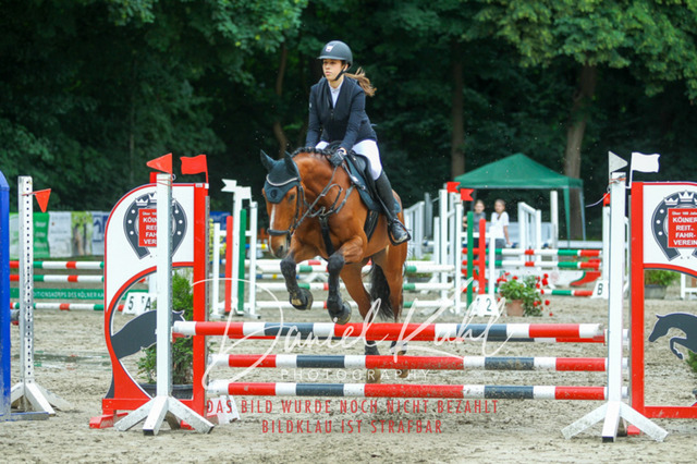 DKP44847 | Turniersportfotografie; Pferdefotografie; Dressurfotografie