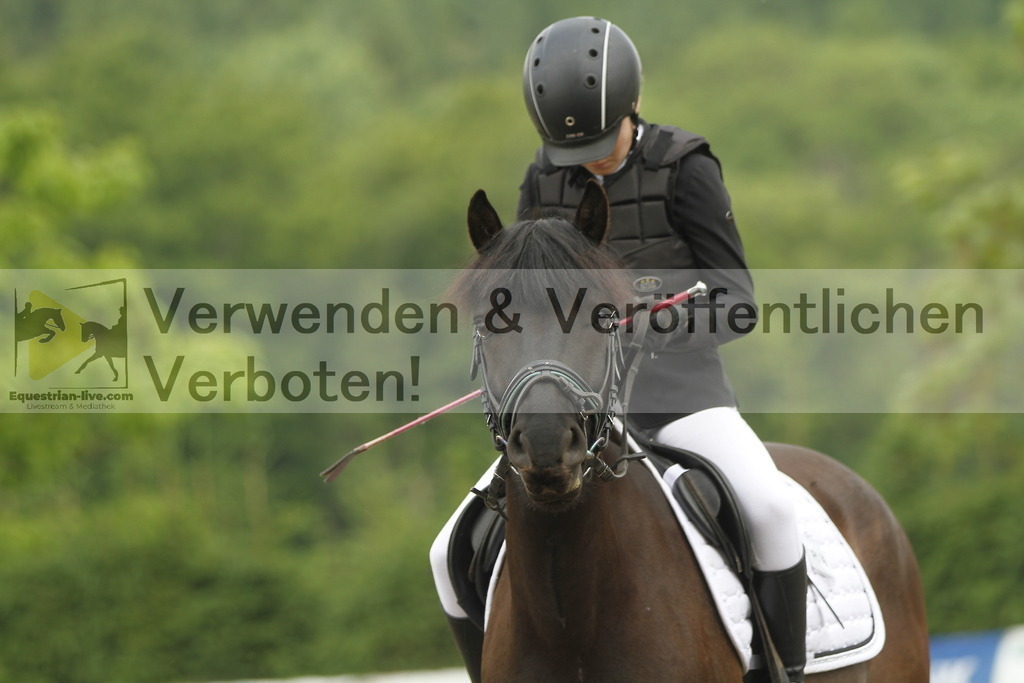 _MG_4398 | equestrian-live-com
