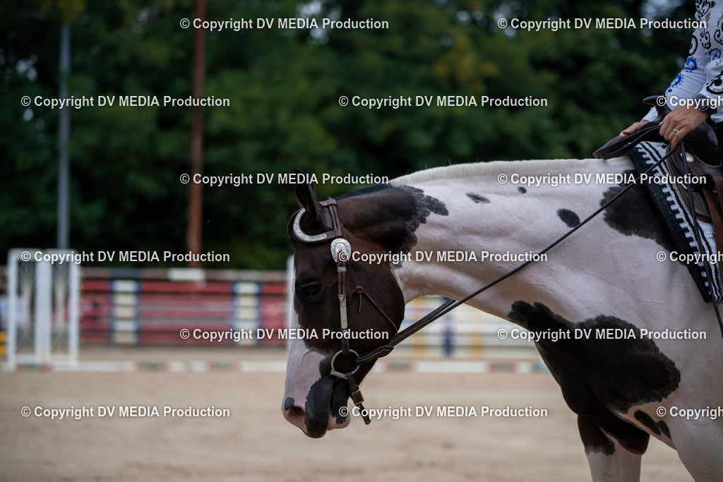 ZS2_3790 | dv-media-shop - Realisiert mit Pictrs.com