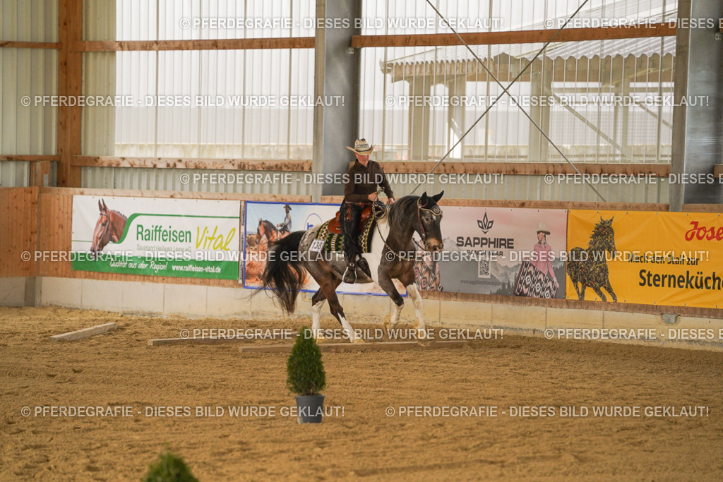 DSC04711 | Pferdegrafie