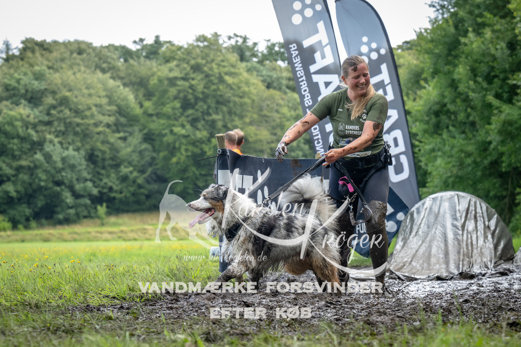 1146_ZZ94229 | kk-dogfotos