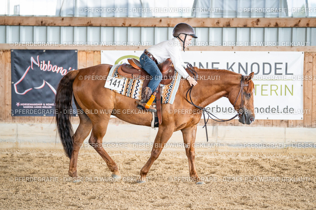 DSC09083 | Pferdegrafie