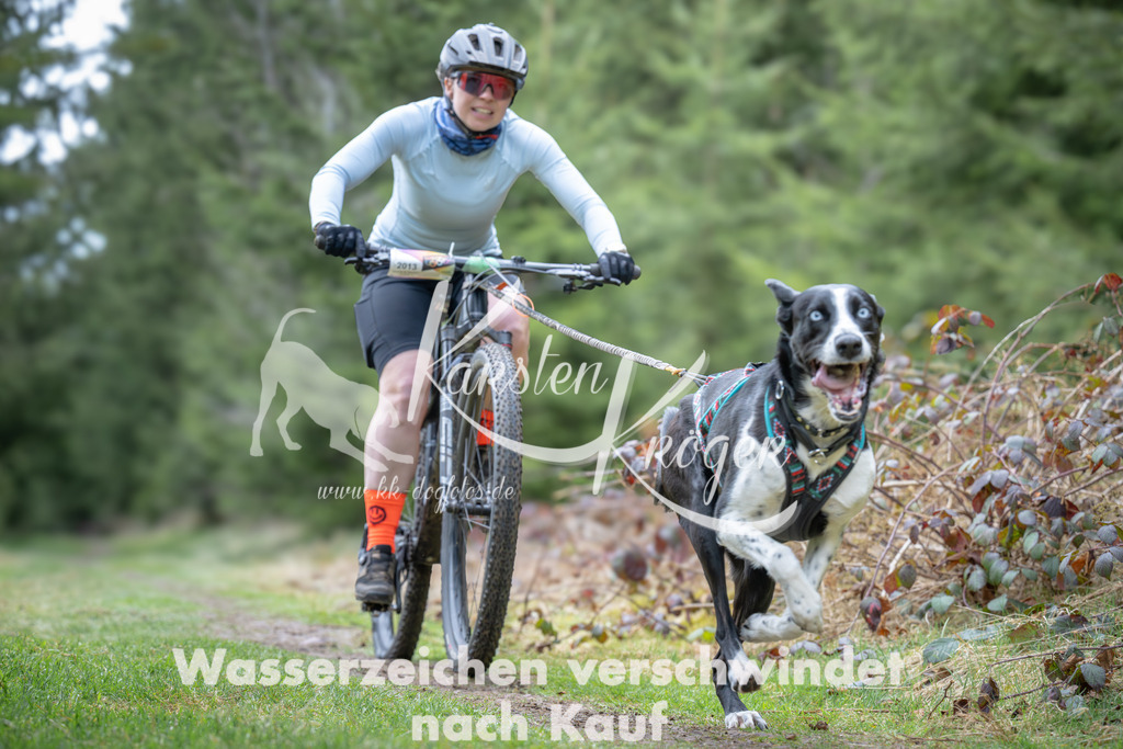 1309_ZZ93699 | kk-dogfotos