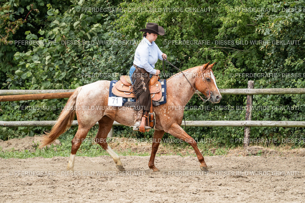 DSC02877 | Pferdegrafie