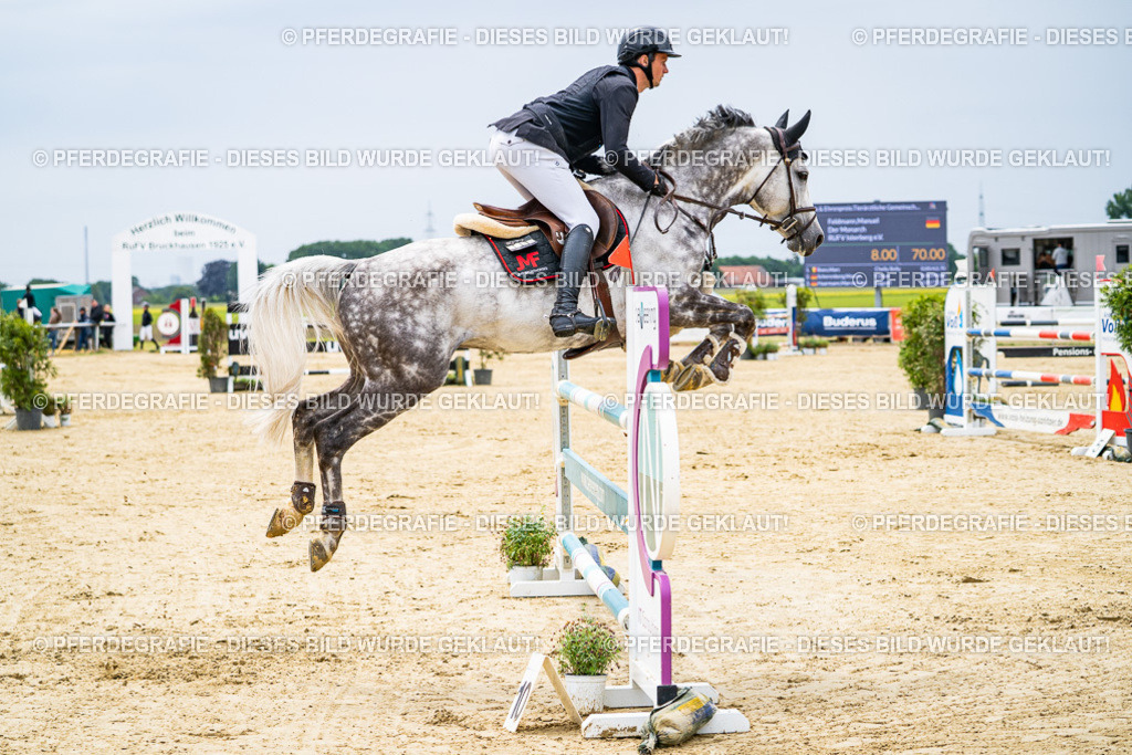 DSC06829 | Pferdegrafie