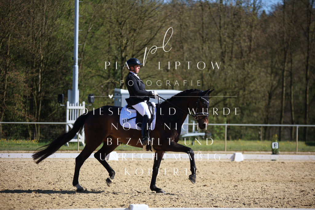 IMGT9002 | pl-fotografie