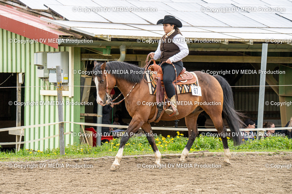 BAL00743 | dv-media-shop - Realisiert mit Pictrs.com