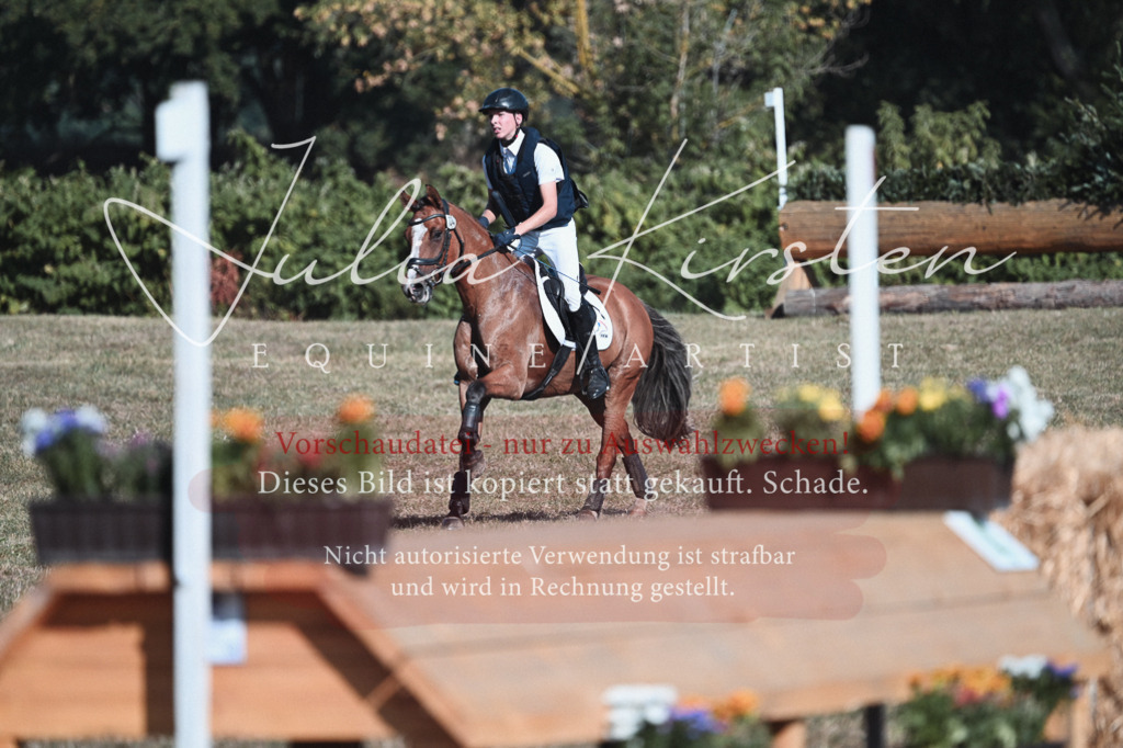 DSC_8825 | Pferde- und Turnierfotografie in Westsachsen. Pferdeportraits, Auftragszeichnungen und intuitive Kunst.