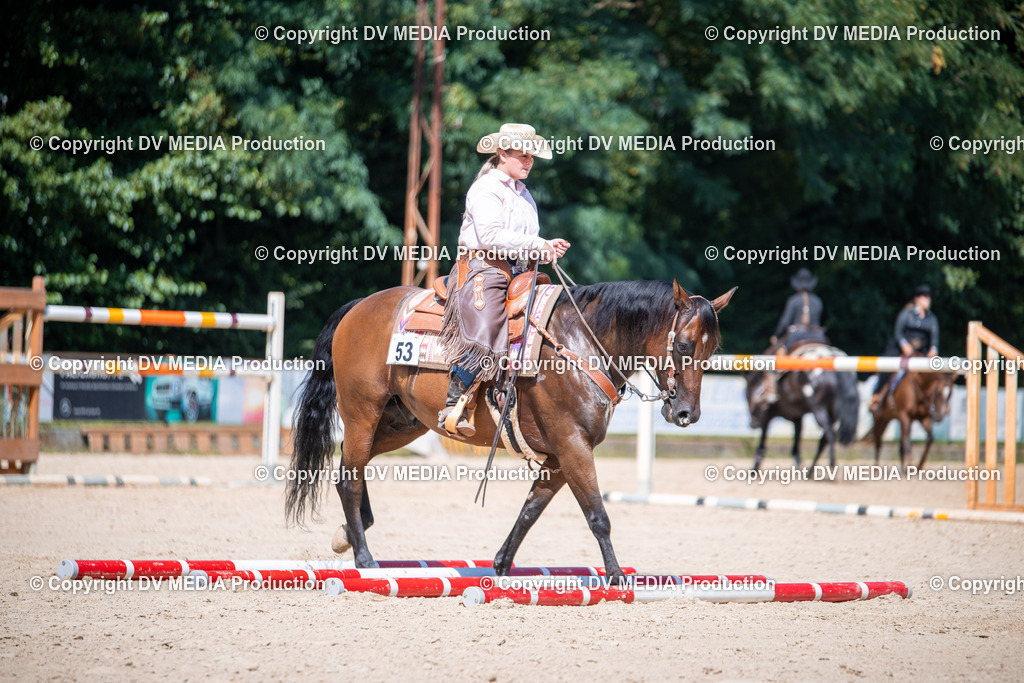 ZS1_1616 | dv-media-shop - Realisiert mit Pictrs.com