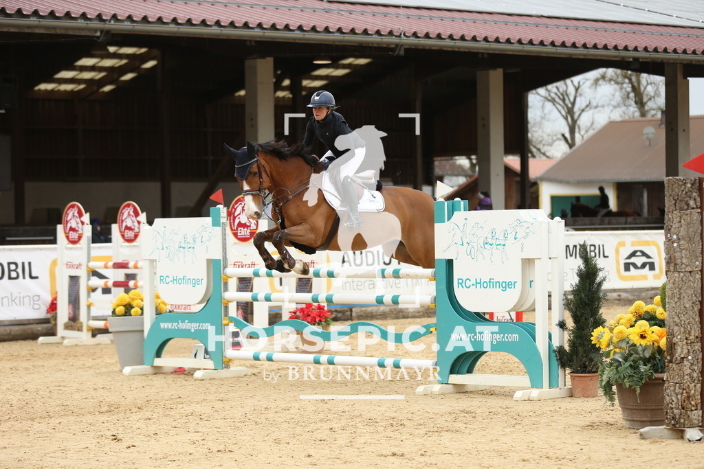 DL2Q5763 | Willkommen bei Brunnmayr - Design & Fotografie – Ihrem Spezialisten für Reitturniere und Pferdeveranstaltungen in Oberösterreich, Salzburg und Bayern! Seit über 17 Jahren sind wir leidenschaftlich dabei.