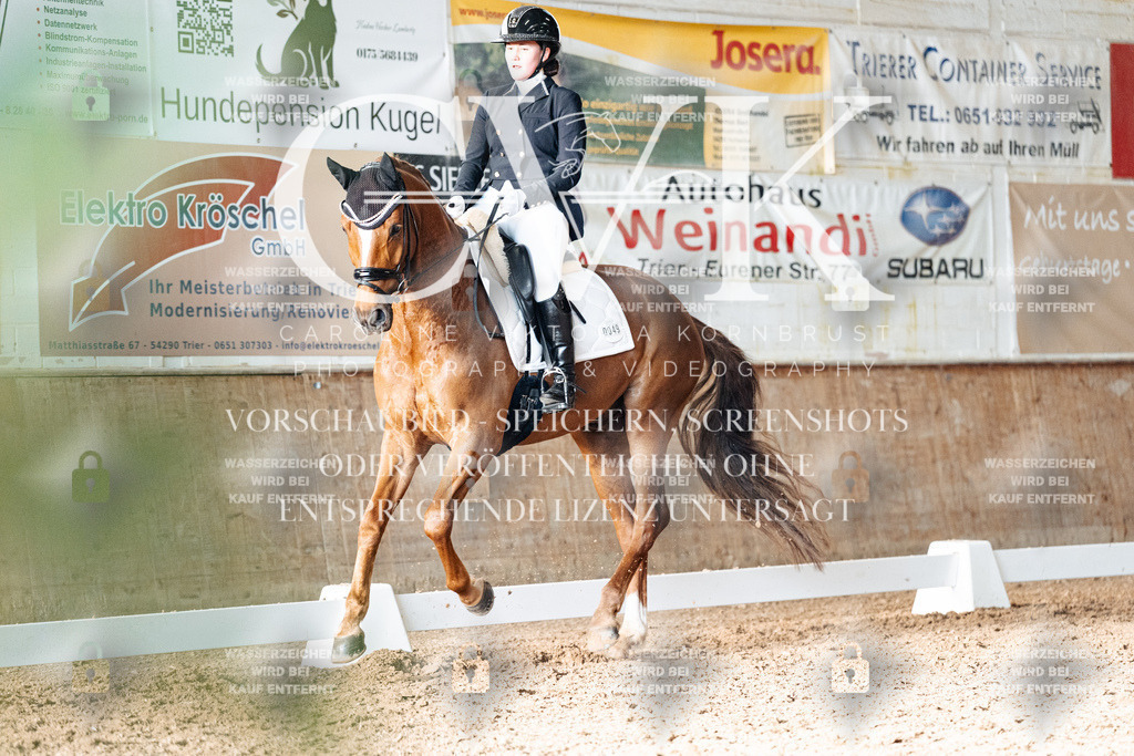 CK903180 | Turnierfotografie Pferdefotografie Trier Rheinland-Pfalz Pferdesport Reitsport Tierfotografie Sportfotografie Pferdevideo Pferdevideografie Equestrianvideography equestrianphotography  - Realisiert mit Pictrs.com