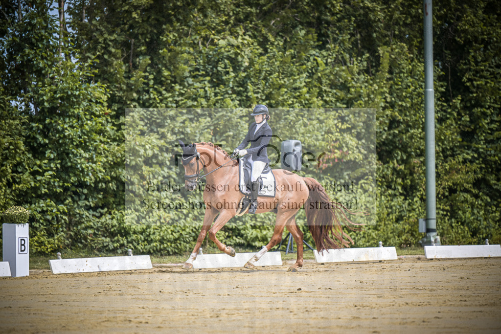 DOS_9894 | Entdecke hochwertige Reitturnierfotos von Foto Oger. Professionell, emotional und authentisch – jetzt Lieblingsmomente im Shop bestellen.Deutschlandweite Turnierfotografie. - Realisiert mit Pictrs.com