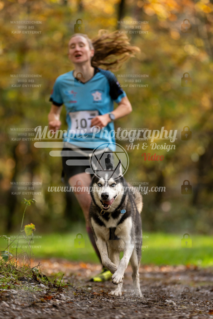 MompixPhotography_Bischwiller23_Canicross-63 | PayLife