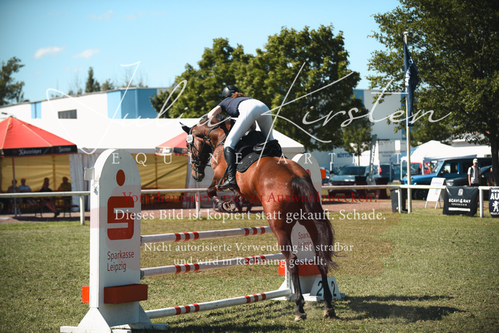 DSC_7221 | Pferde- und Turnierfotografie in Westsachsen. Pferdeportraits, Auftragszeichnungen und intuitive Kunst.