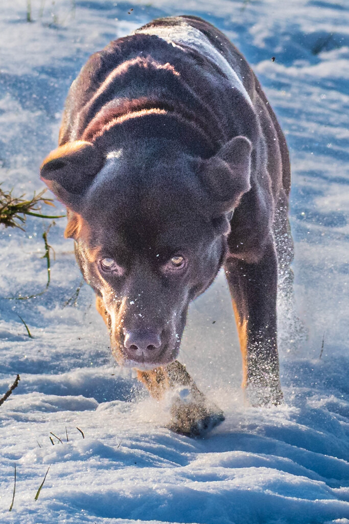 Matzingen, Schweiz | Die schönsten Bilder für Ihre Räume online bestellen! In unseren Bildergalerien findet Sie alles was es für Ihre Räume braucht. Lassen Sie sich überraschen ☺️ - Realisiert mit Pictrs.com
