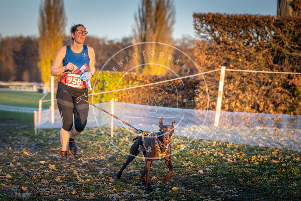 CaniXpix_DV3A5782 | Hundefotografie, Tierfotograf, Pfotenfotografie, Fotoshooting Hund, Hunde Portrait, Hundesport, Hundeportraits, Heideshooting, Hunde, Sportfotograf, Hundefotograf, Turnierhundsport, THS,  - Realisiert mit Pictrs.com
