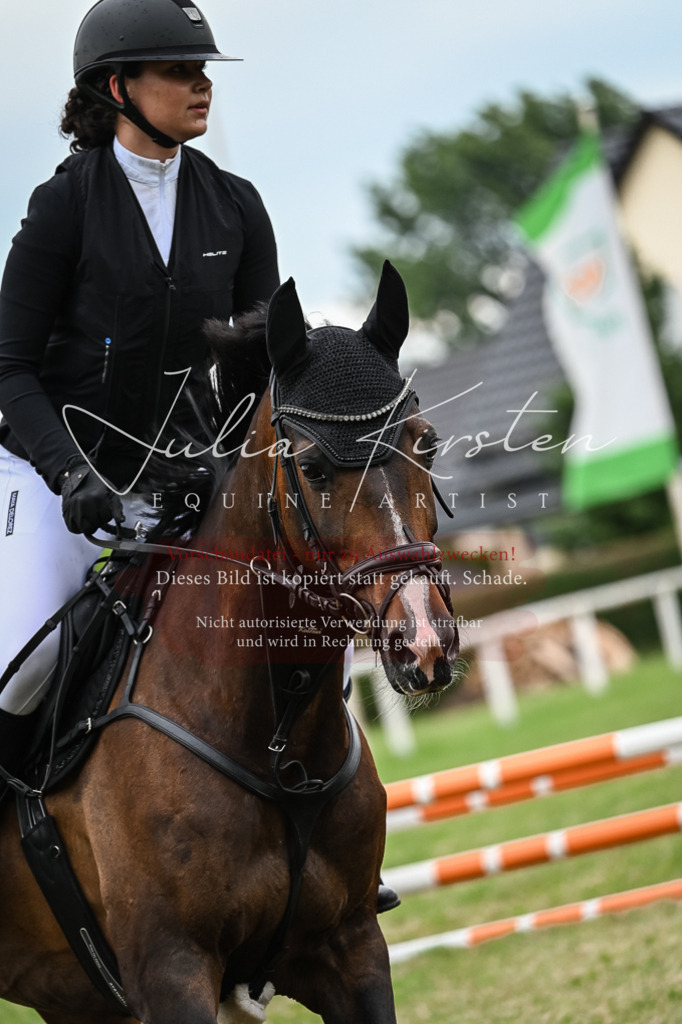 DSC_8433 | Pferde- und Turnierfotografie in Westsachsen. Pferdeportraits, Auftragszeichnungen und intuitive Kunst.