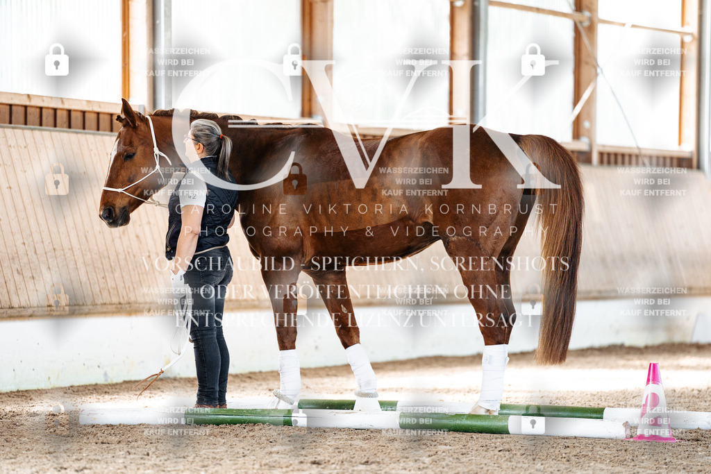 CK906127 | Turnierfotografie Pferdefotografie Trier Rheinland-Pfalz Pferdesport Reitsport Tierfotografie Sportfotografie Pferdevideo Pferdevideografie Equestrianvideography equestrianphotography  - Realisiert mit Pictrs.com