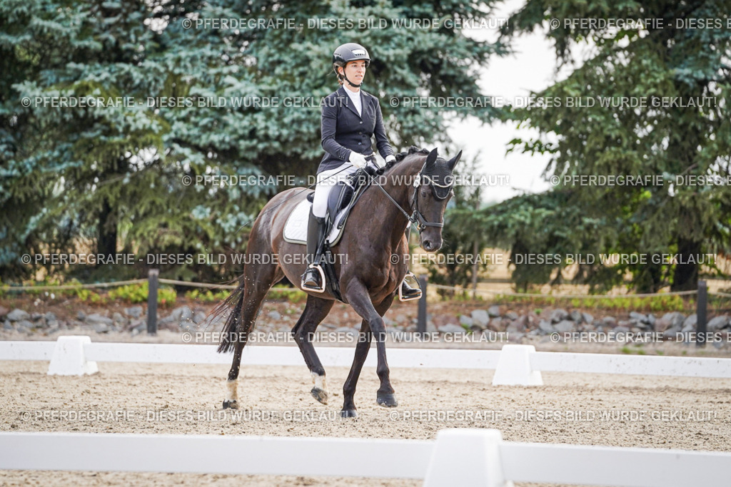 DSC00522 | Pferdegrafie