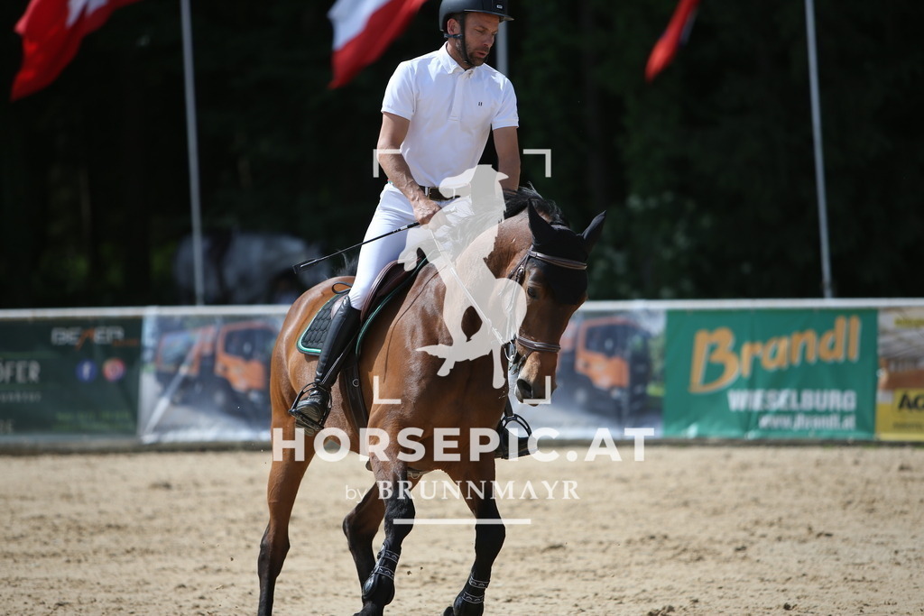 PP018101 | Willkommen bei Brunnmayr - Design & Fotografie – Ihrem Spezialisten für Reitturniere und Pferdeveranstaltungen in Oberösterreich, Salzburg und Bayern! Seit über 17 Jahren sind wir leidenschaftlich dabei.