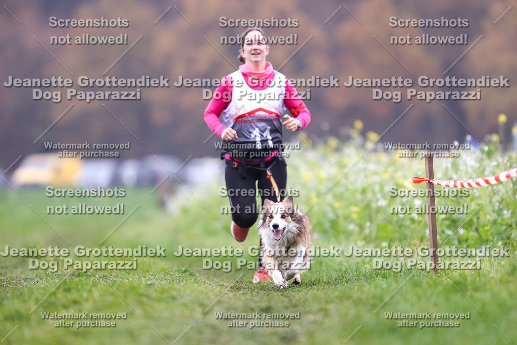 Dog Paparazzi - Visbeck 25 -810 | Dog Paparazzi Jeanette Grottendiek Fotografie & Videografie - Realisiert mit Pictrs.com