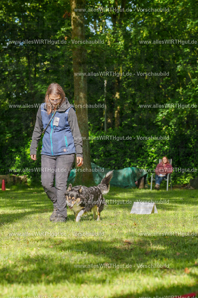 @allesWIRTHgut_Tierfotografie - www.allesWIRTHgut.de - 082617-7R506182 | Professionelle Tierfotografie in Mönchengladbach von Daniel Wirth (allesWIRTHgut). Liebevolle & natürliche Bilder von Hunden & Katzen für unvergessliche Erinnerungen.