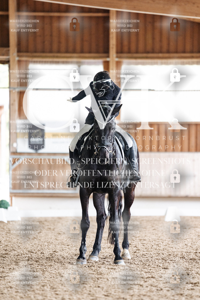 CK901120 | Turnierfotografie Pferdefotografie Trier Rheinland-Pfalz Pferdesport Reitsport Tierfotografie Sportfotografie Pferdevideo Pferdevideografie Equestrianvideography equestrianphotography  - Realisiert mit Pictrs.com