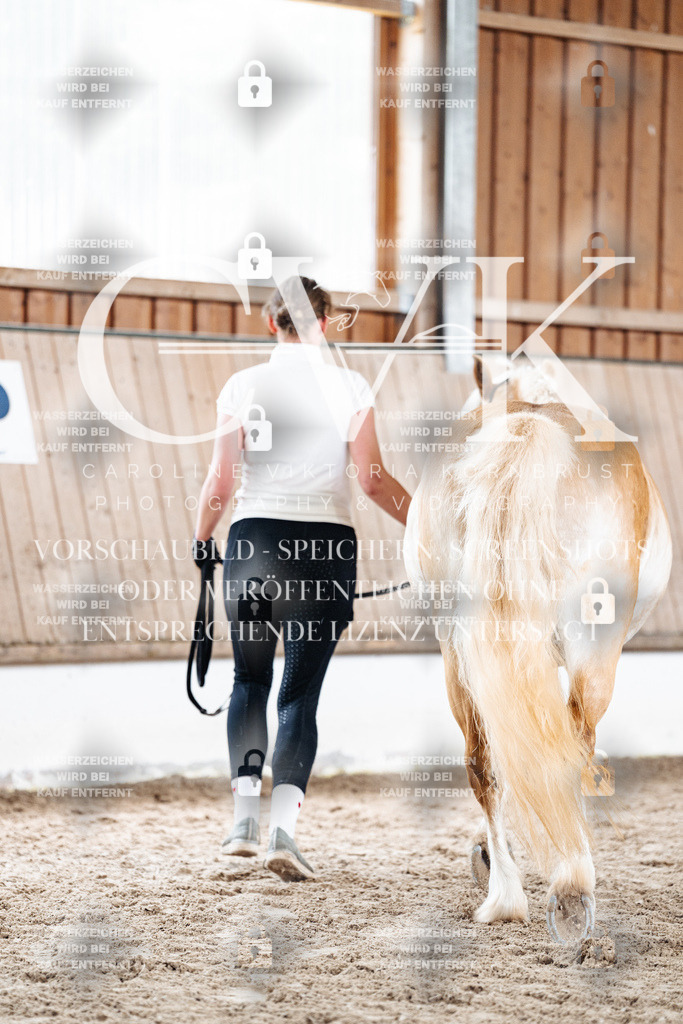 CK907891 | Turnierfotografie Pferdefotografie Trier Rheinland-Pfalz Pferdesport Reitsport Tierfotografie Sportfotografie Pferdevideo Pferdevideografie Equestrianvideography equestrianphotography  - Realisiert mit Pictrs.com