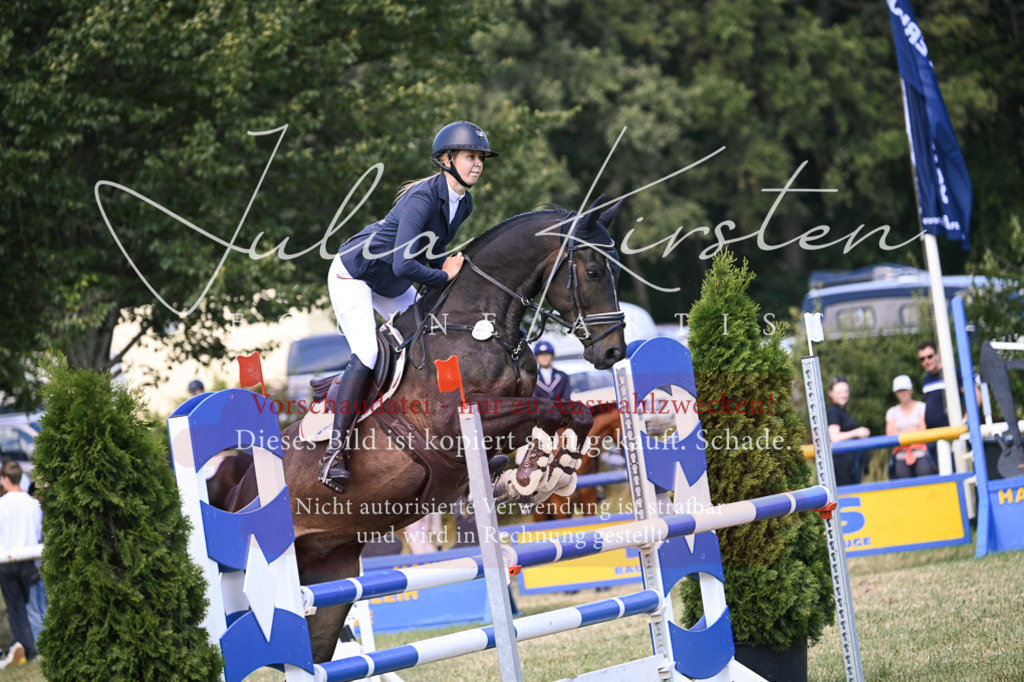 DSC_0299 | Pferde- und Turnierfotografie in Westsachsen. Pferdeportraits, Auftragszeichnungen und intuitive Kunst.