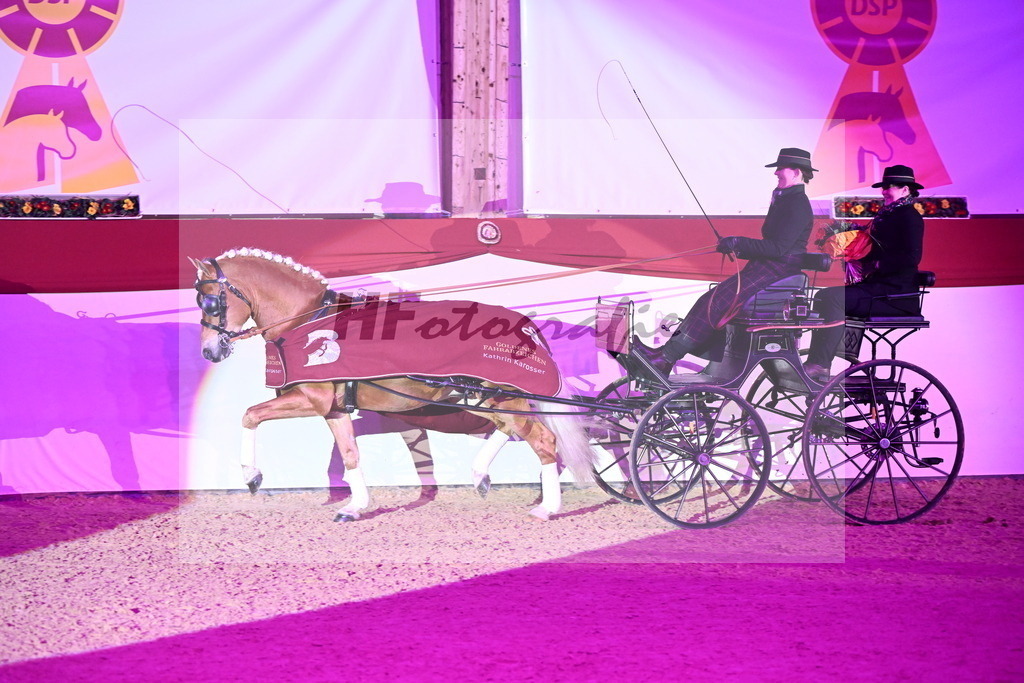DSP_Avici_As_Karosser_2254567 | hf-fotografie - Realisiert mit Pictrs.com