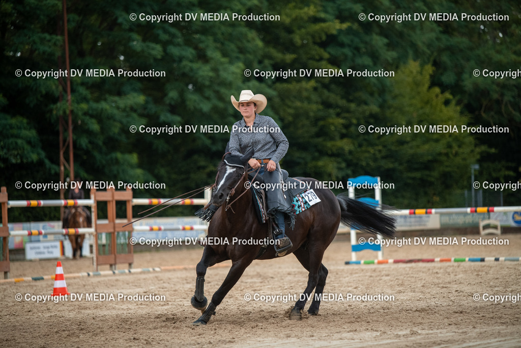 ZS2_8674 | dv-media-shop - Realisiert mit Pictrs.com