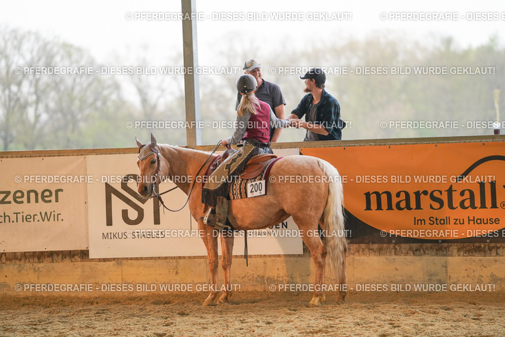 DSC08981 | Pferdegrafie