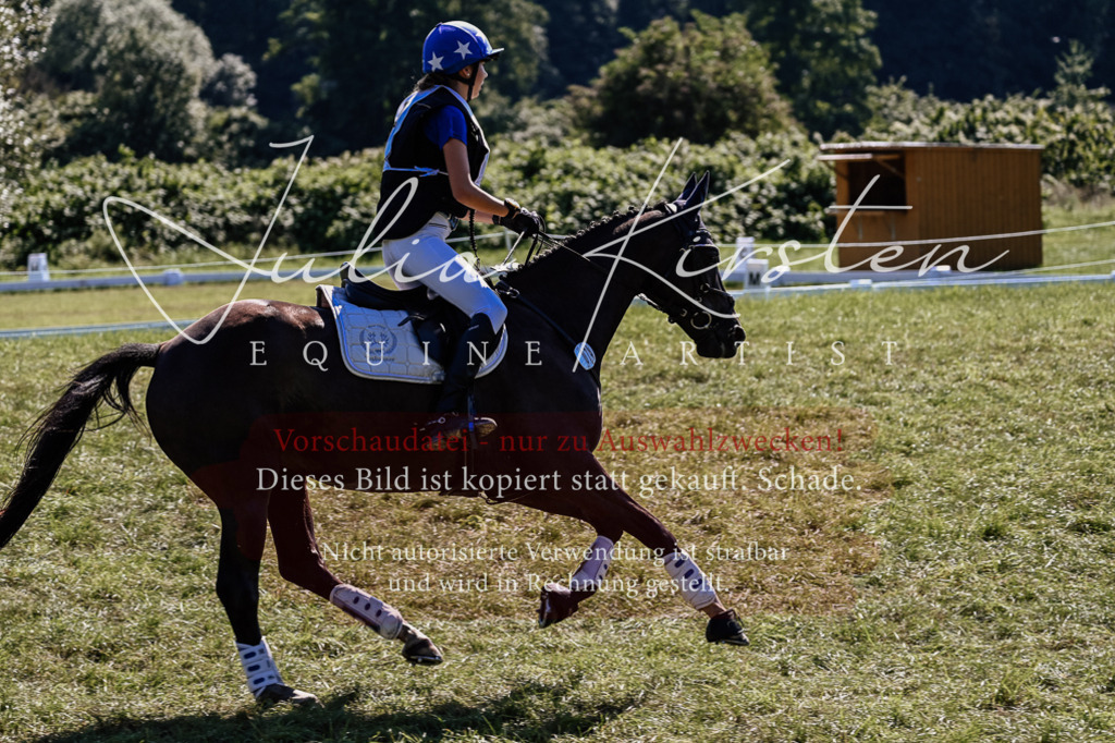 DSC_1710 | Pferde- und Turnierfotografie in Westsachsen. Pferdeportraits, Auftragszeichnungen und intuitive Kunst.