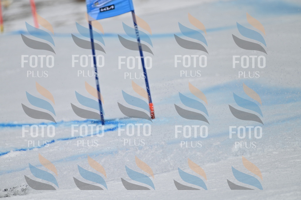 BGV_3367 | holidayphoto