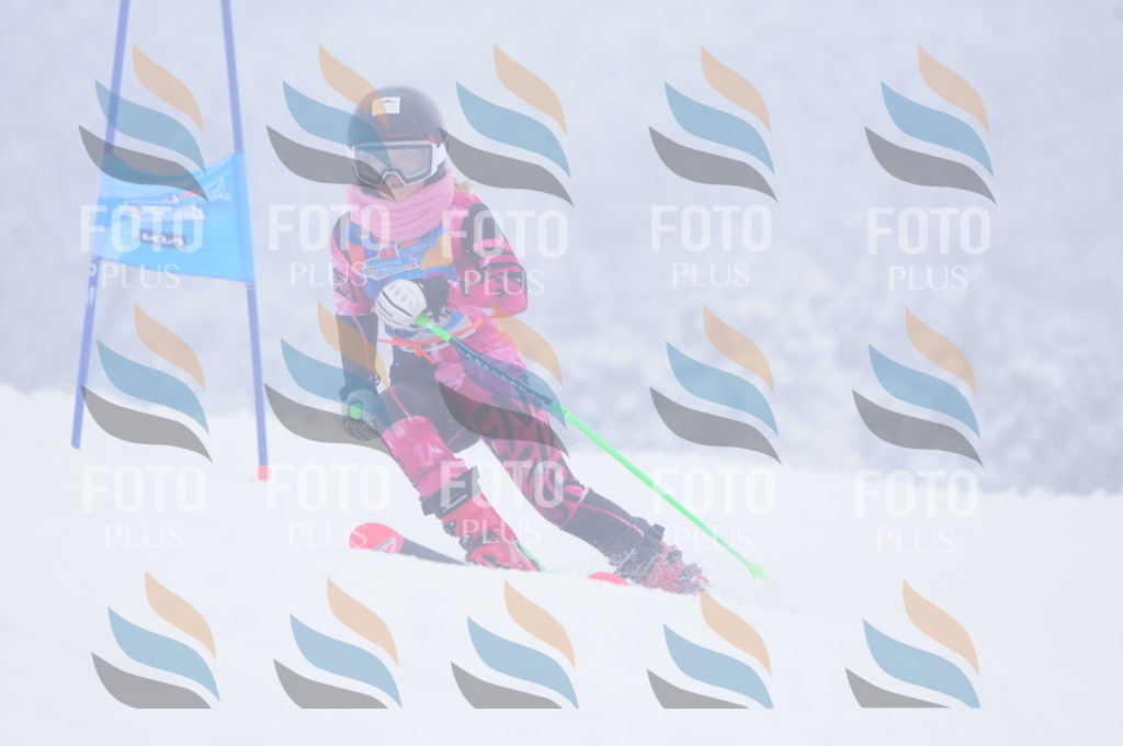 C2449 | holidayphoto