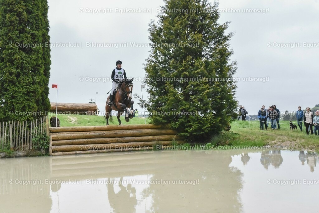 20230513_CCI2_Section2_Gelände_0039 | equistock
