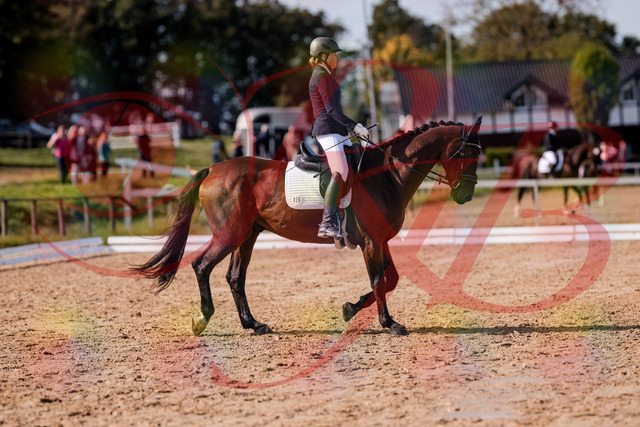 2026_10_03_Siefer-Hof_130220_Z81_56087749 | Professionelle Reitsport-, Turnier- und Eventfotografie von Robert Broda. Galerien mit ausgewählten und bearbeiteten Bildern direkt online ansehen und bestellen.