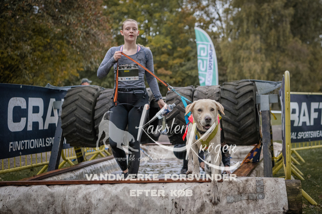 1704_ZZ94810 | kk-dogfotos