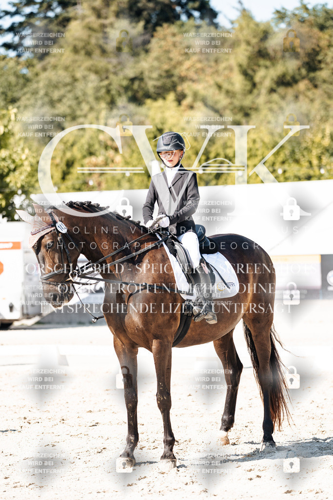 CK903034 | Turnierfotografie Pferdefotografie Trier Rheinland-Pfalz Pferdesport Reitsport Tierfotografie Sportfotografie Pferdevideo Pferdevideografie Equestrianvideography equestrianphotography  - Realisiert mit Pictrs.com