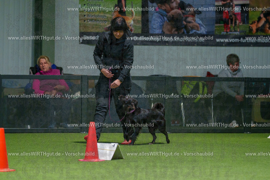 7R505730 | Professionelle Tierfotografie in Mönchengladbach von Daniel Wirth (allesWIRTHgut). Liebevolle & natürliche Bilder von Hunden & Katzen für unvergessliche Erinnerungen.