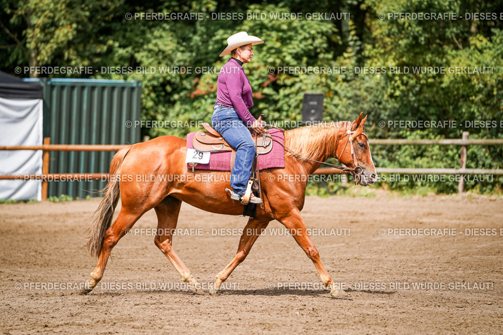 DSC07068 | Pferdegrafie